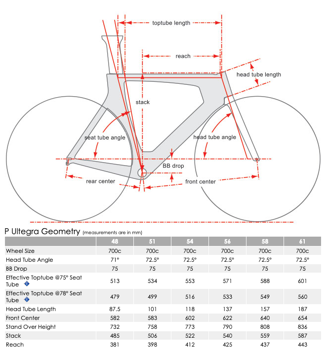 Pulse Endurance Sports
