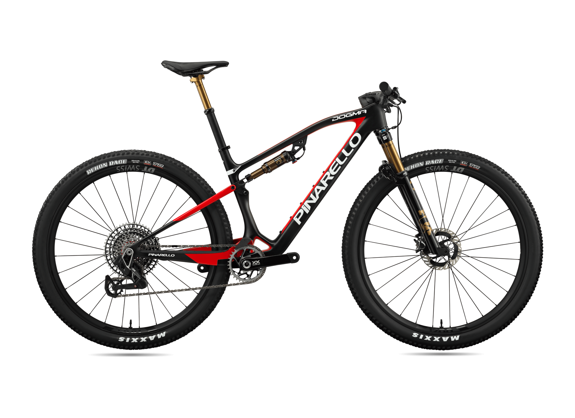 DOGMA XC XX SL 100