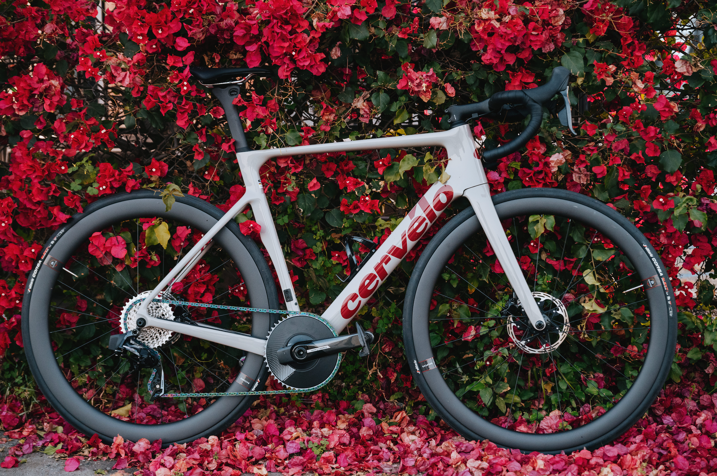 Cervelo Soloist Force AXS (2024)