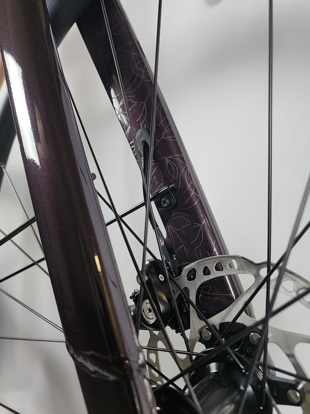 Scott Contessa Speedster Gravel 25 EQ TW (S/ 52)