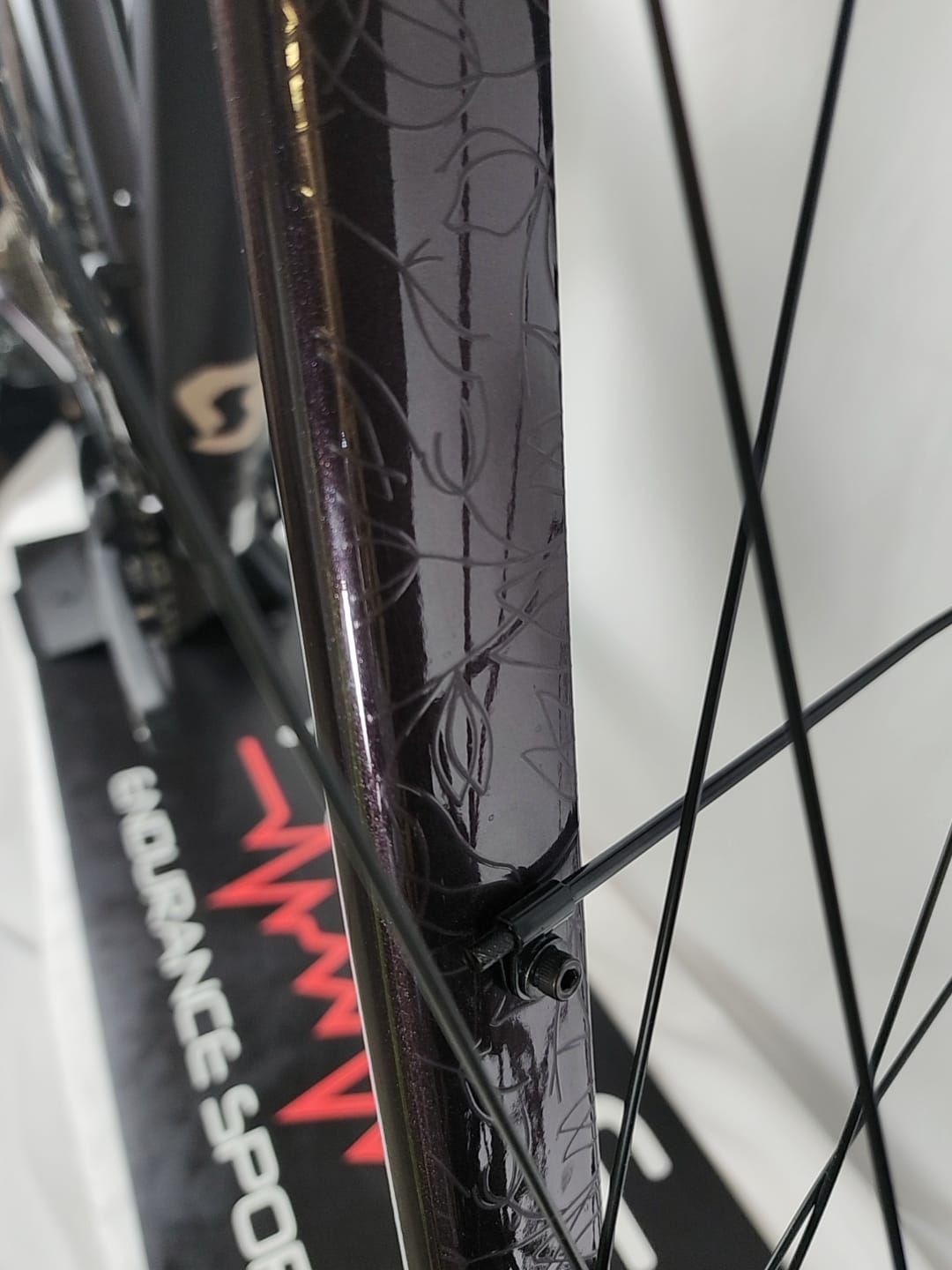 Scott Contessa Speedster Gravel 25 EQ TW (S/ 52)